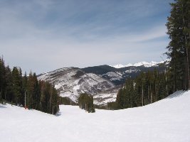 Weiter unten Übergang zur &amp;quot;Lodgepole&amp;quot;, man beachte die Beschneiungslanzen am Rand