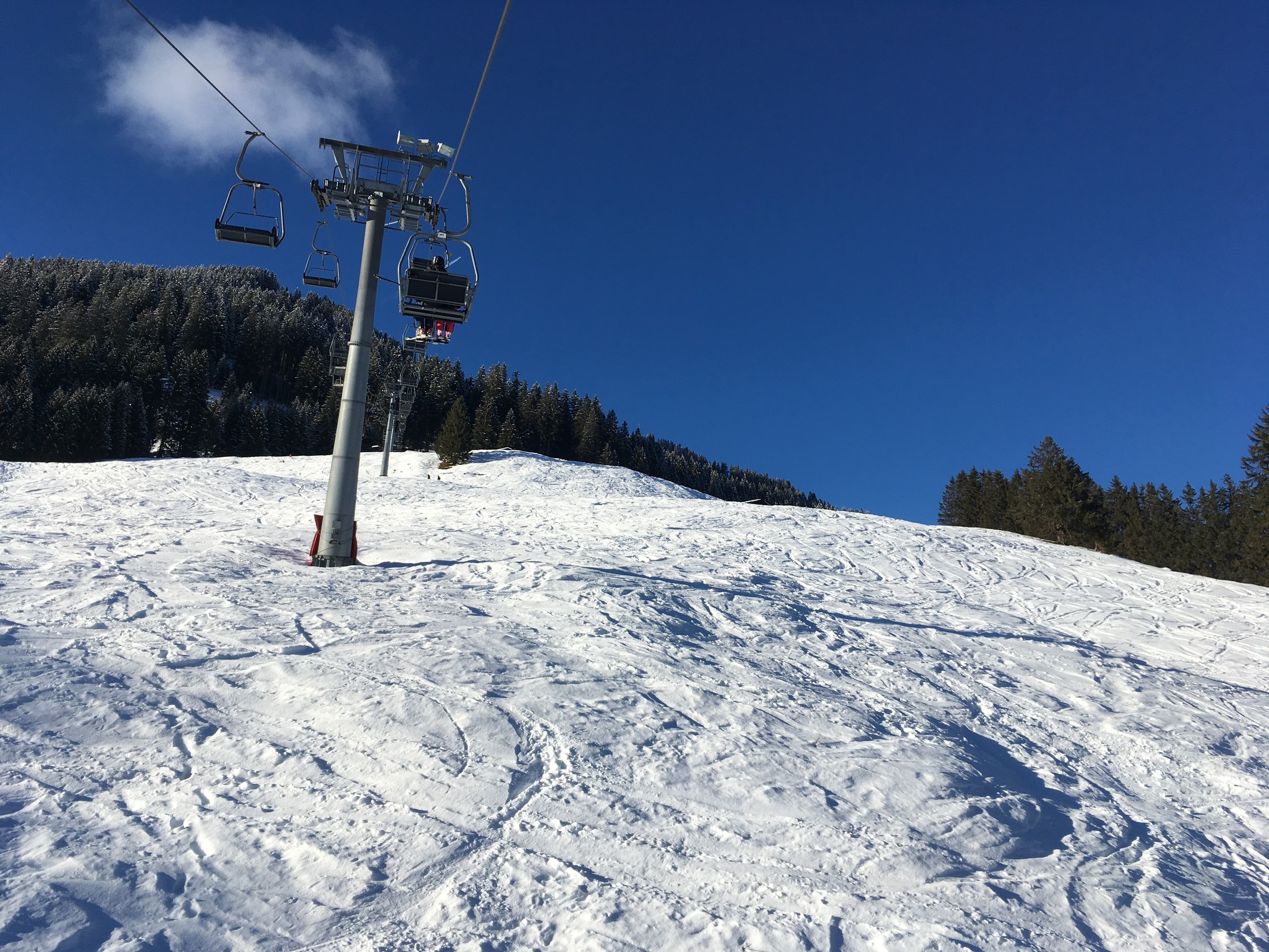 Zaferna Luggi Leitner - zum Walzen hatte es nicht gereicht aber immer noch nicht aper