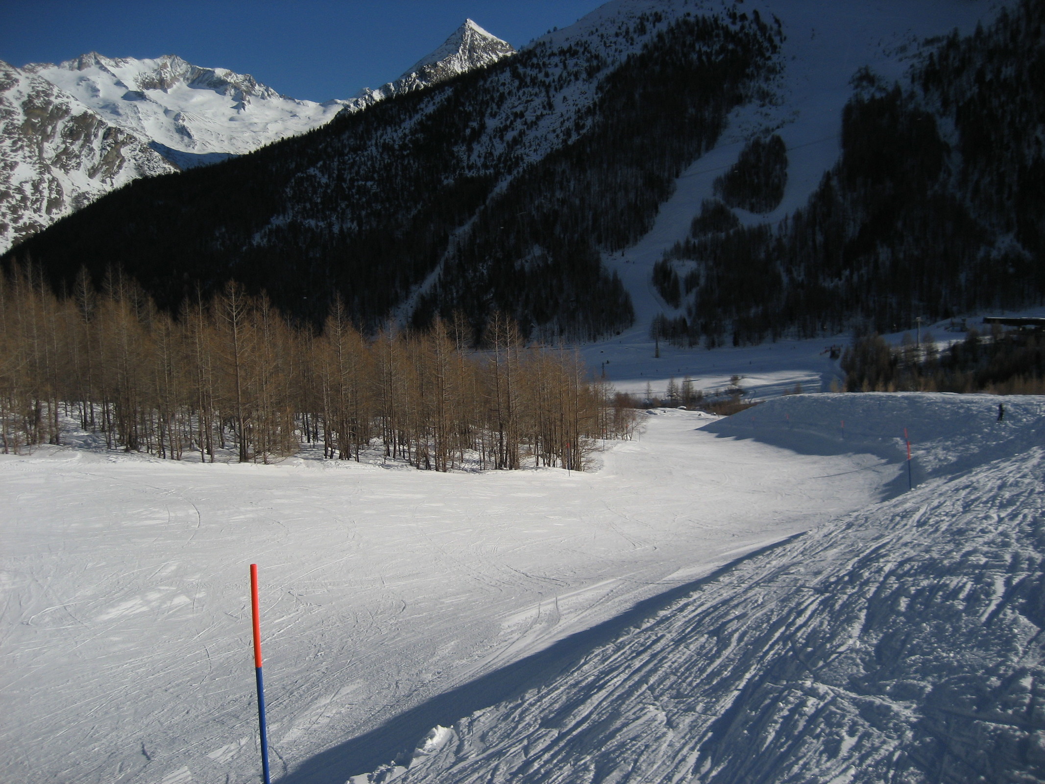 Piste 20 Stafelwald / Abfahrt "hintenrum" durch den Wald und an der Lawinenmauer entlang