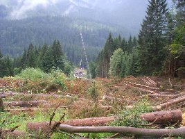 Rohdung mit Blick Richtung Talstation