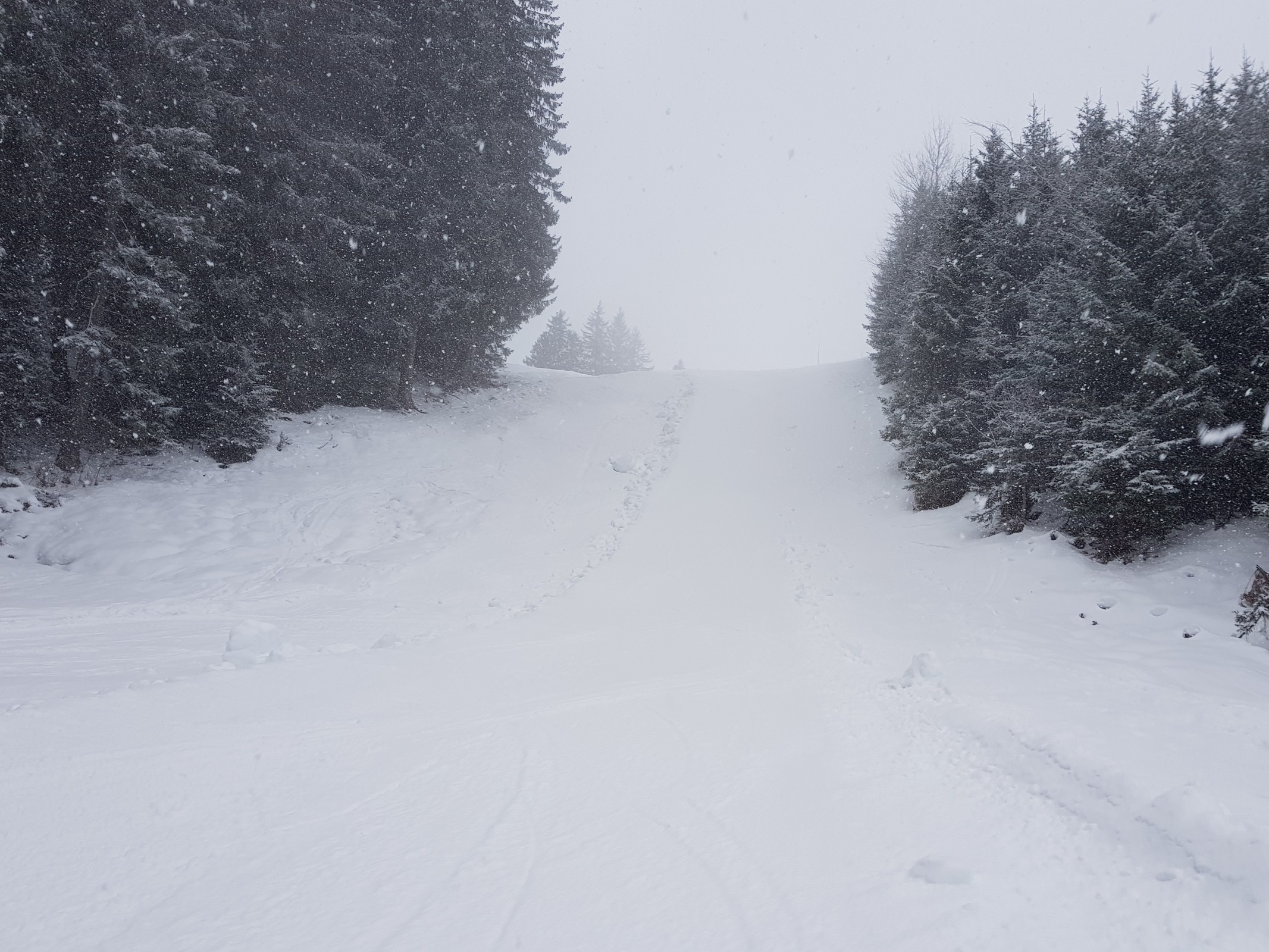 Hier dann das kurze Stück über die 2a die offiziell gesperrt ist, hier aber eine Pistenraupenbreite präpariert war und sich gut fahren ließ, das kleine Teilstück mündete dann schnell wieder in die normale Abfahrt.