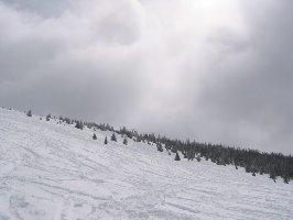 So schön kann Skifahren in Colorado sein - 11 inches/28 cm Neuschnee und die Sonne kommt mal raus...