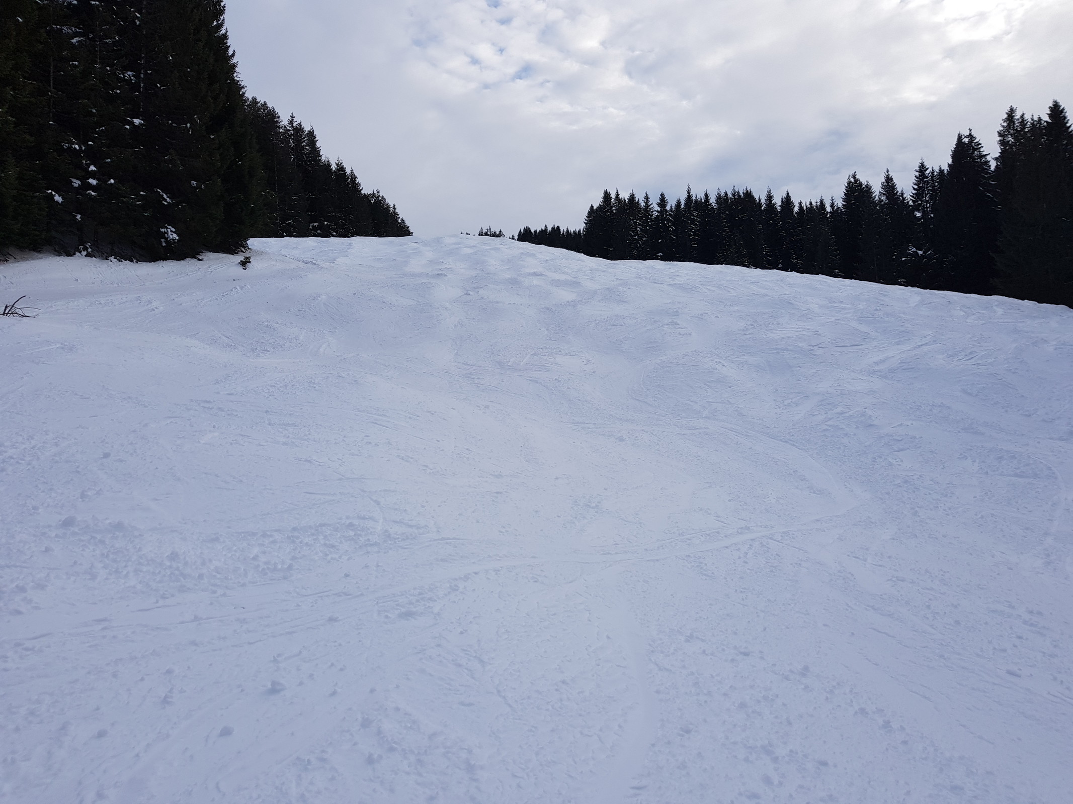 Das Gebiet hatten wir inzwischen durch, am Nachmittag versuchte ich dann nochmal die gesperrte rote Piste, die sich links herum nach dem Ausstieg aus dem Hochschelpenlift befand. Schnee hatte es dort eigentlich genug, daher war dort wohl auch reger Betrieb die letzten Tage, und das kurze Stück eine schöne Buckelpiste.