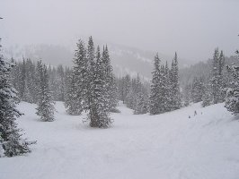 Abfahrt &amp;quot;Hornsilver&amp;quot;, durchaus repräsentativ für das Blue Sky Basin. Immer irgendwie den Touch von &amp;quot;nahegelegene Waldabfahrt&amp;quot;, gefällt mir, vor allem bei den Schneebedingungen...