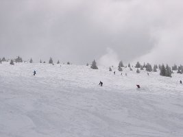 Mann, mann, mann, das sind die perfekten Powder-Hänge, hier in Earl`s Bowl auf &amp;quot;In the Wuides&amp;quot; - you know, däs is a dream...
