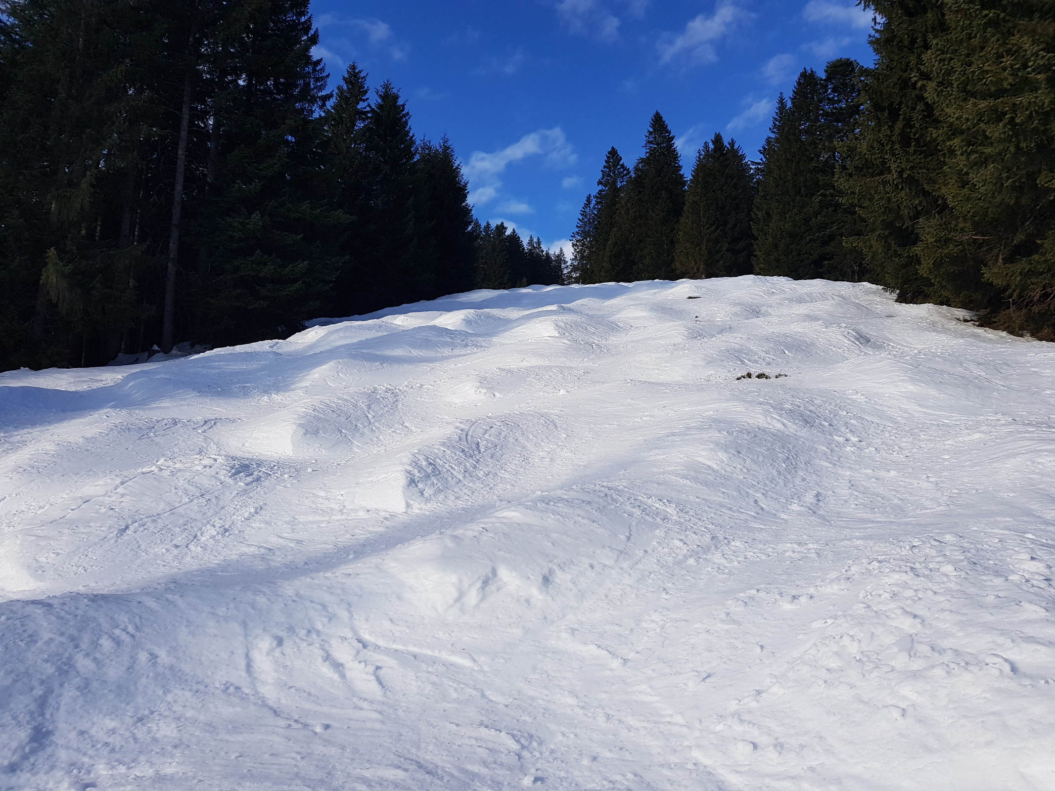 Und nochmal der Blick zurück.