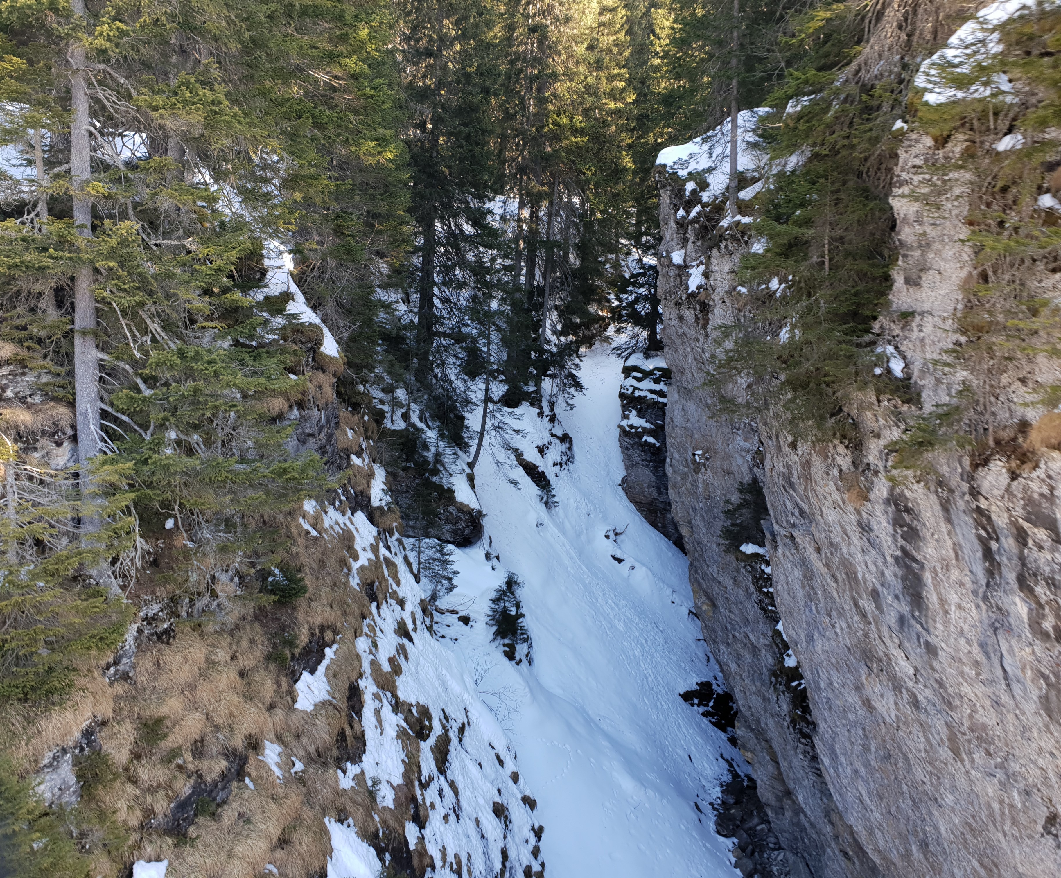 20200114_103735 (2).jpg