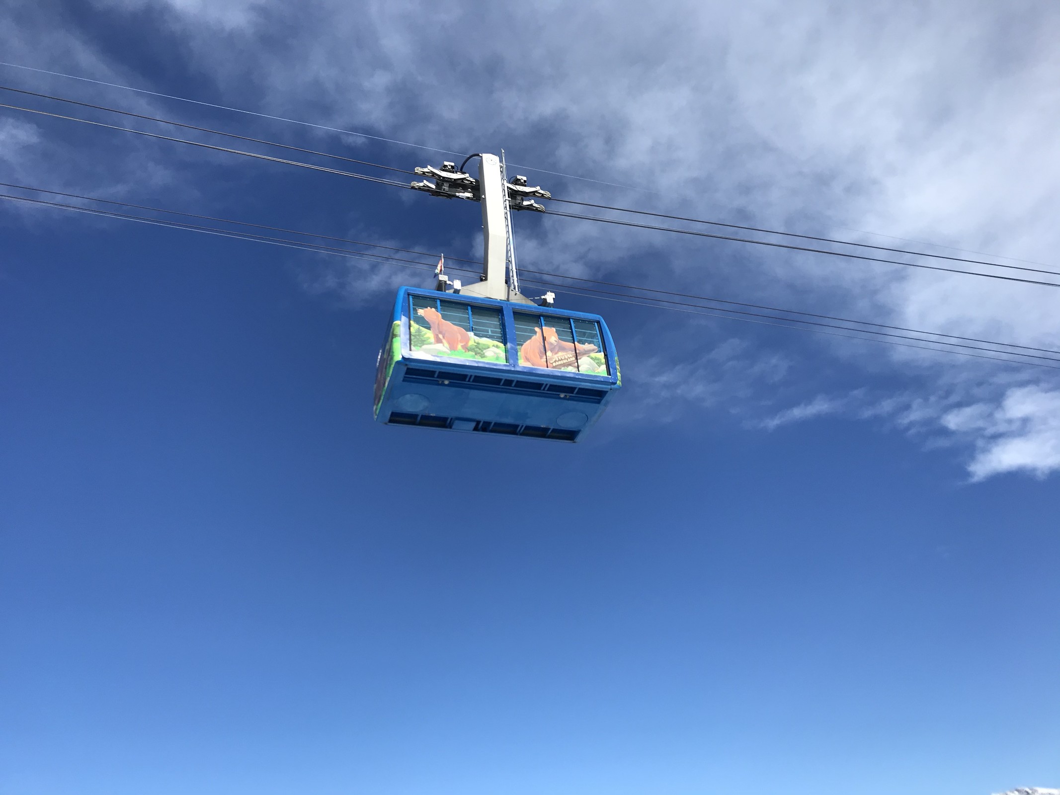 Härzig, der Bär auf der Gondel. Aber noch besser gefällt mir das Gay-Fähnli (Gay-Weeks Arosa) ;-)