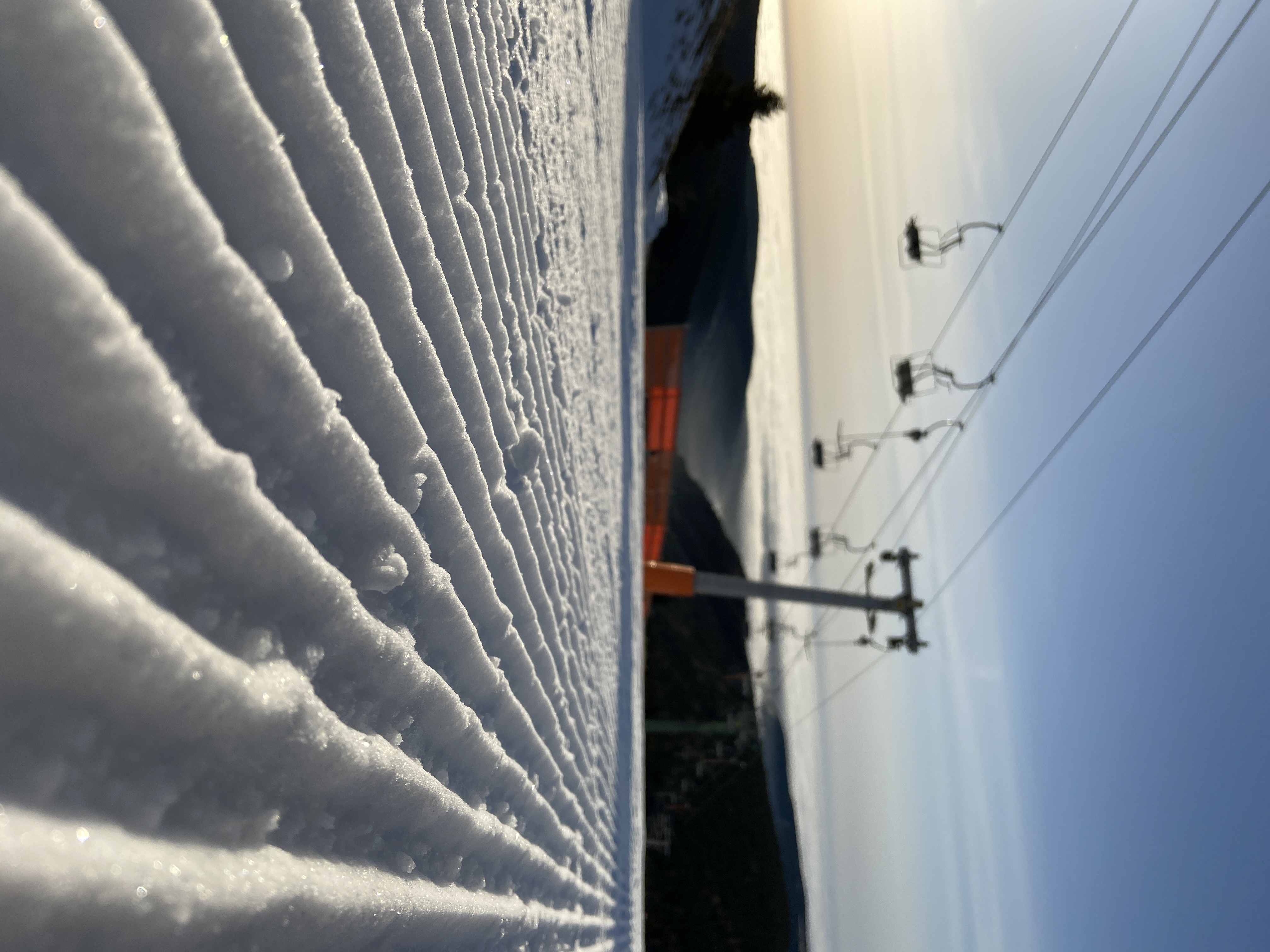 Moser am Morgen ein Traum