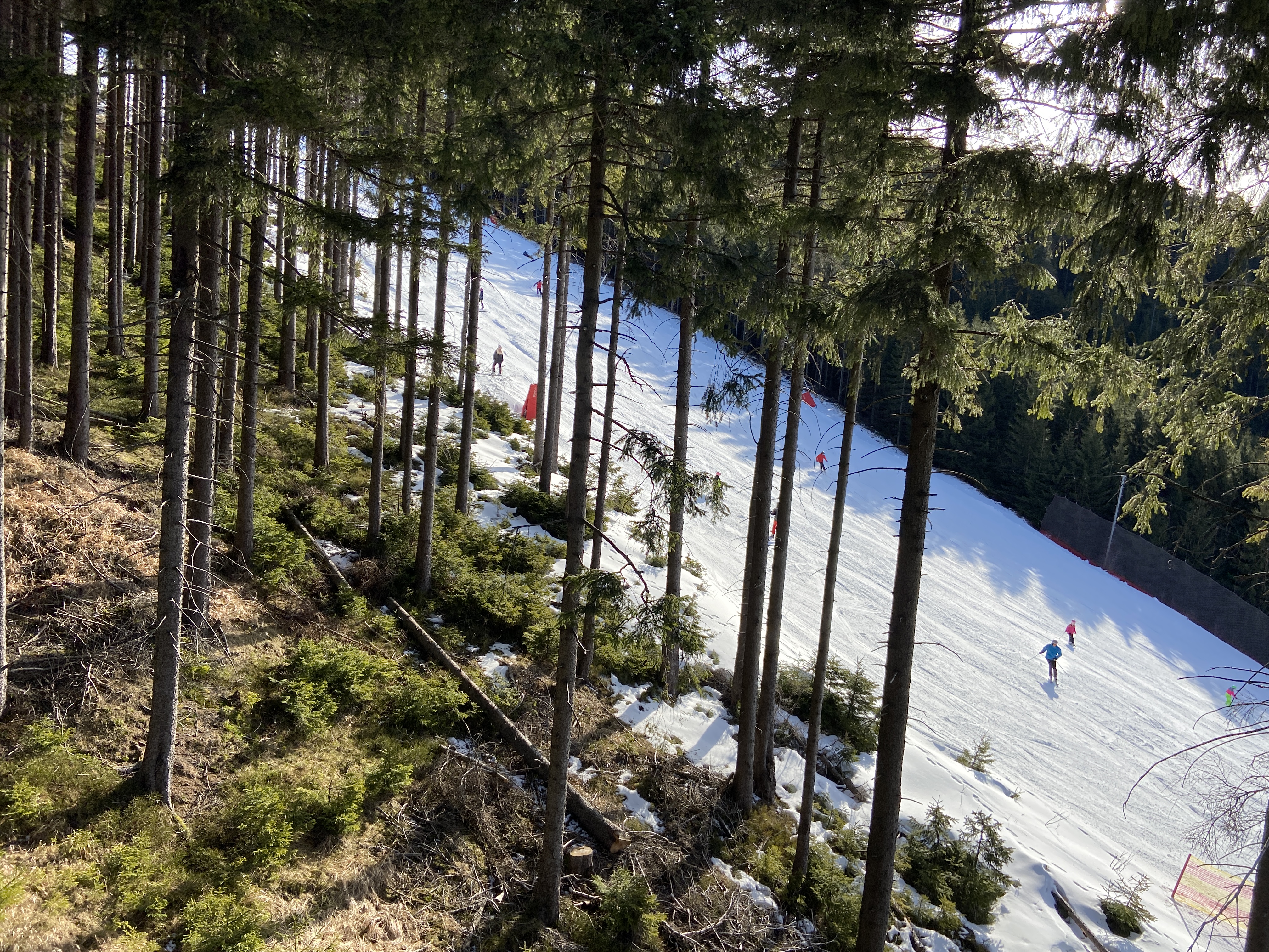 Mittelteil eher frühlingshaft