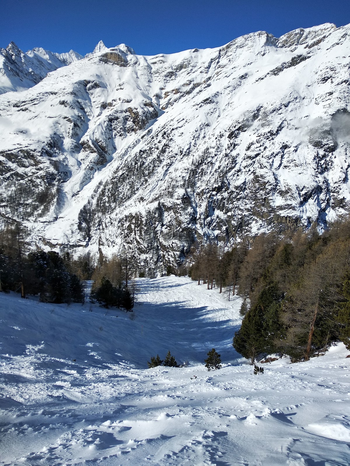 01 Marmotte unten.jpg