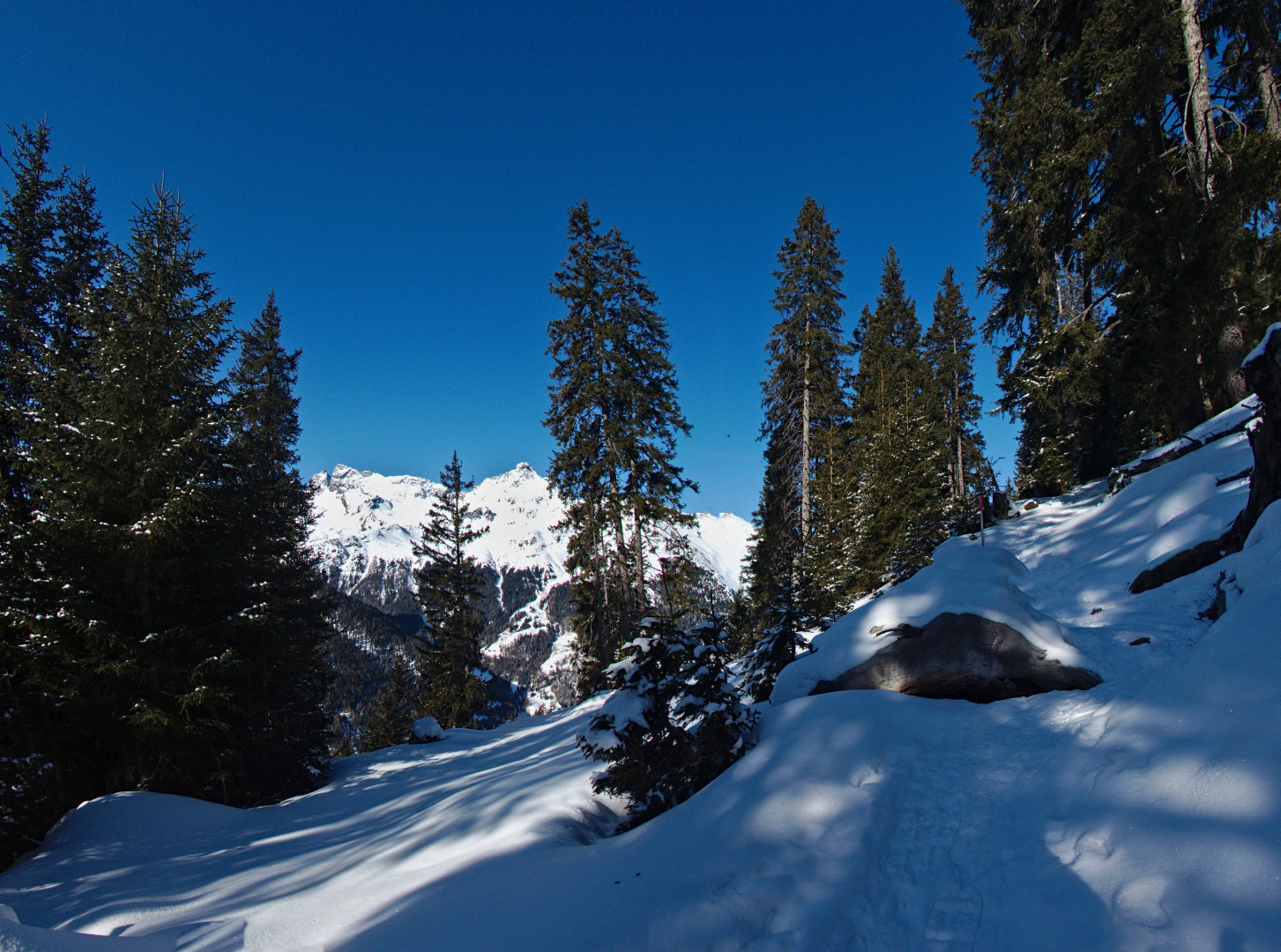 Savognin 077_stitch.jpg