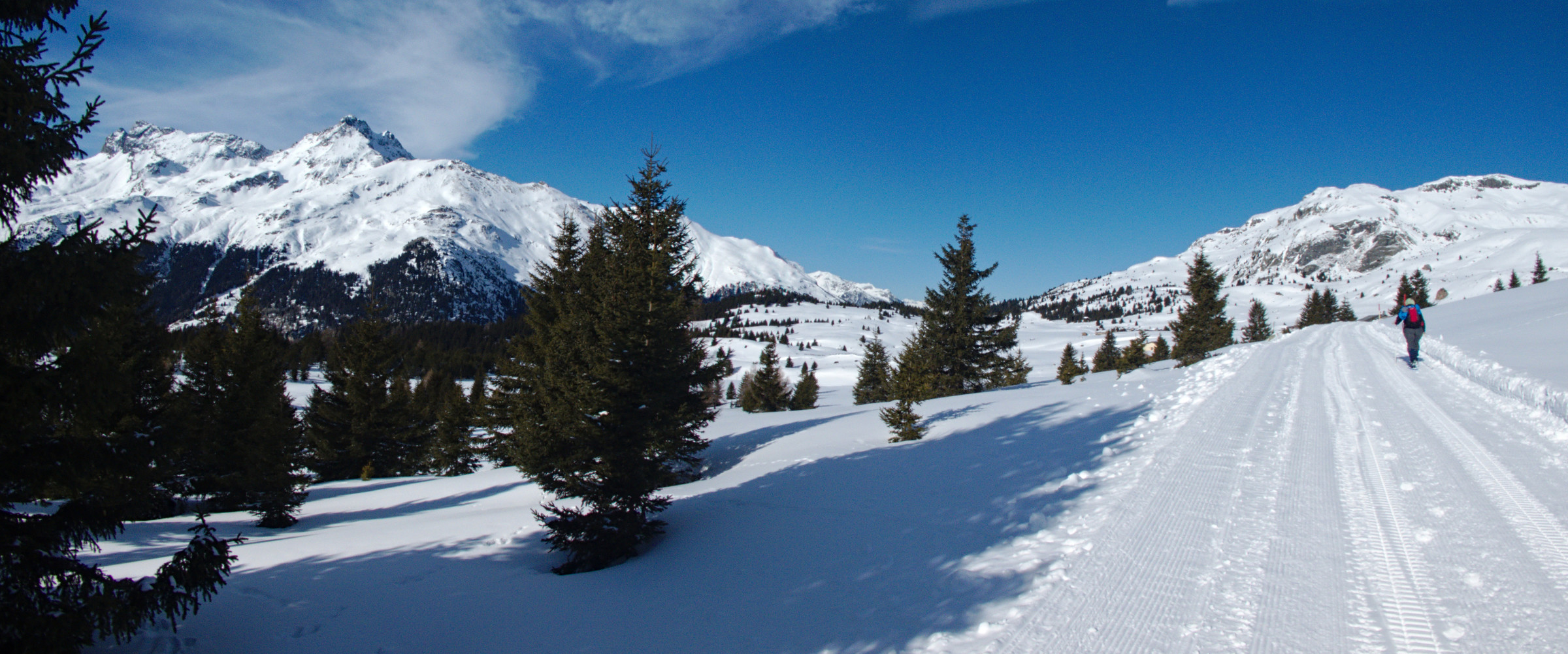 Savognin 177_stitch.jpg