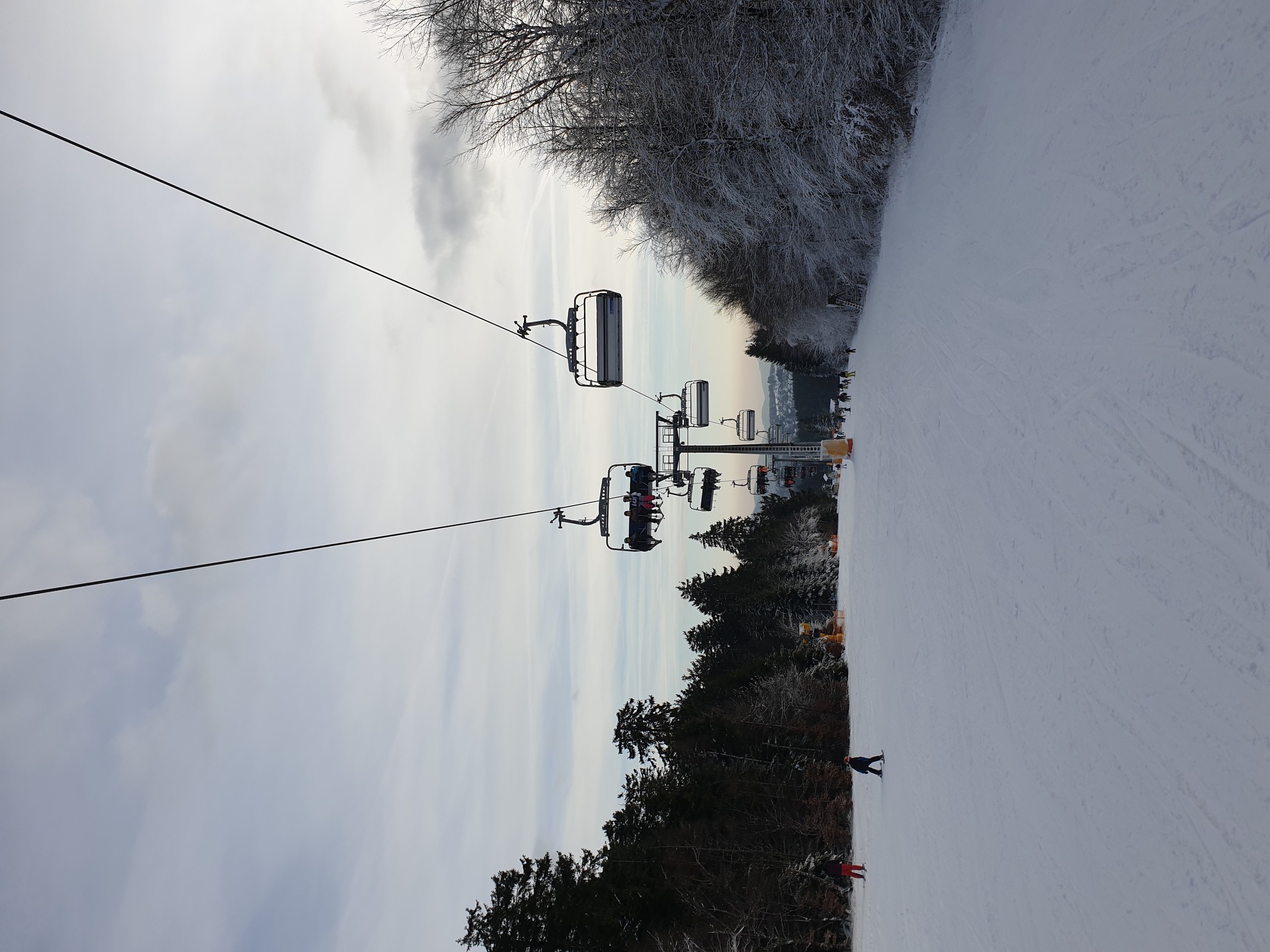 Brembergkopf. Hier wurde es unten raus grasig