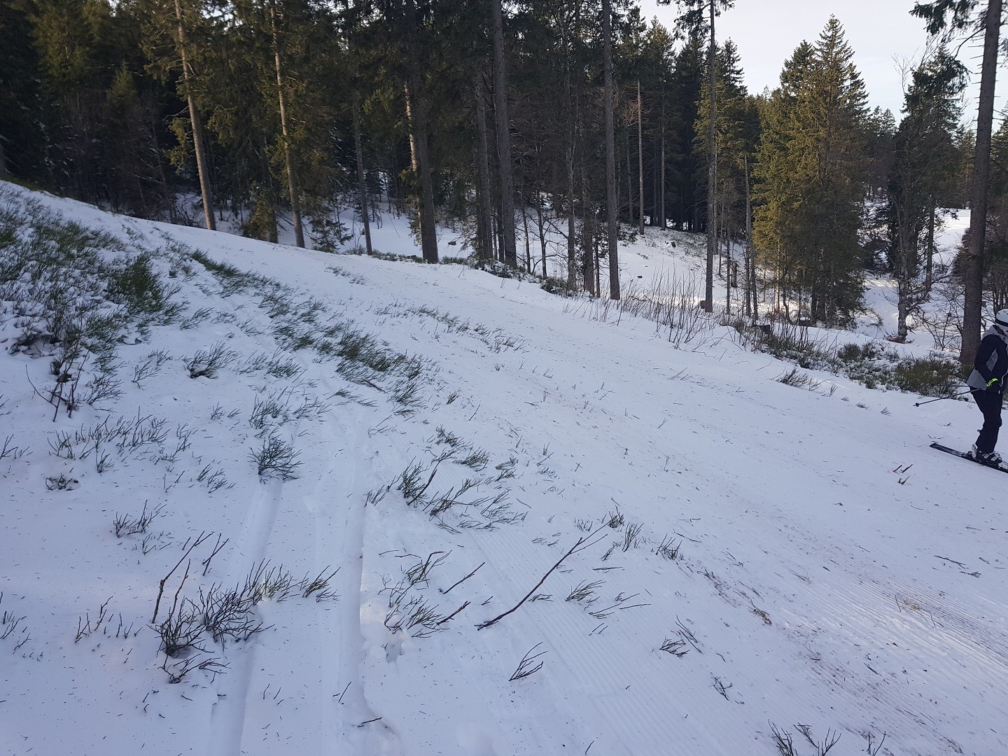 Kaum zu glauben, aber hier sieht man einen geöffneten Teil der Rothausabfahrt.