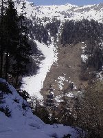 Blick vom Skiweg aus durch den Wald zur 10EUB Grimentz-Bendolla und der Talabfahrt von Grimentz.