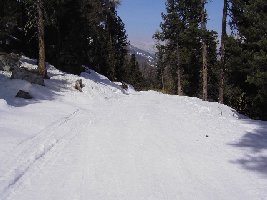 Das ist der Ziehweg durch den Wald. Idylle pur!