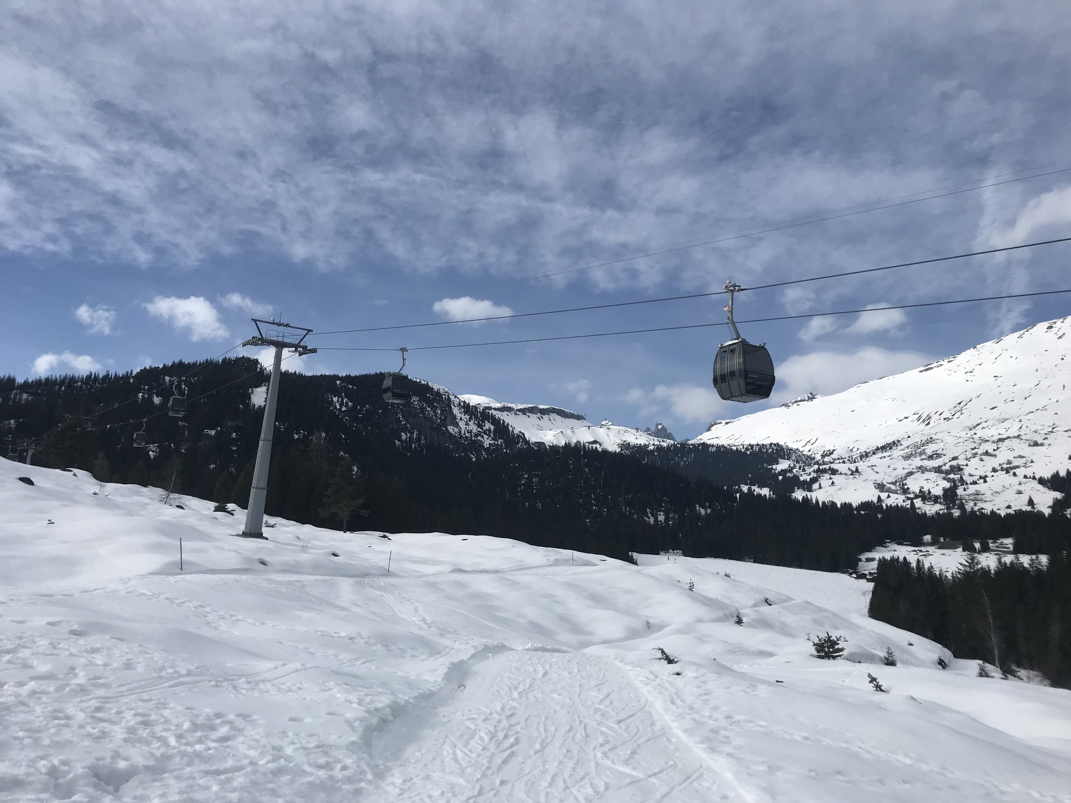 Nett, wie sich die Weisse Arena nach dem Runcabesuch in der Sonne räkelte...