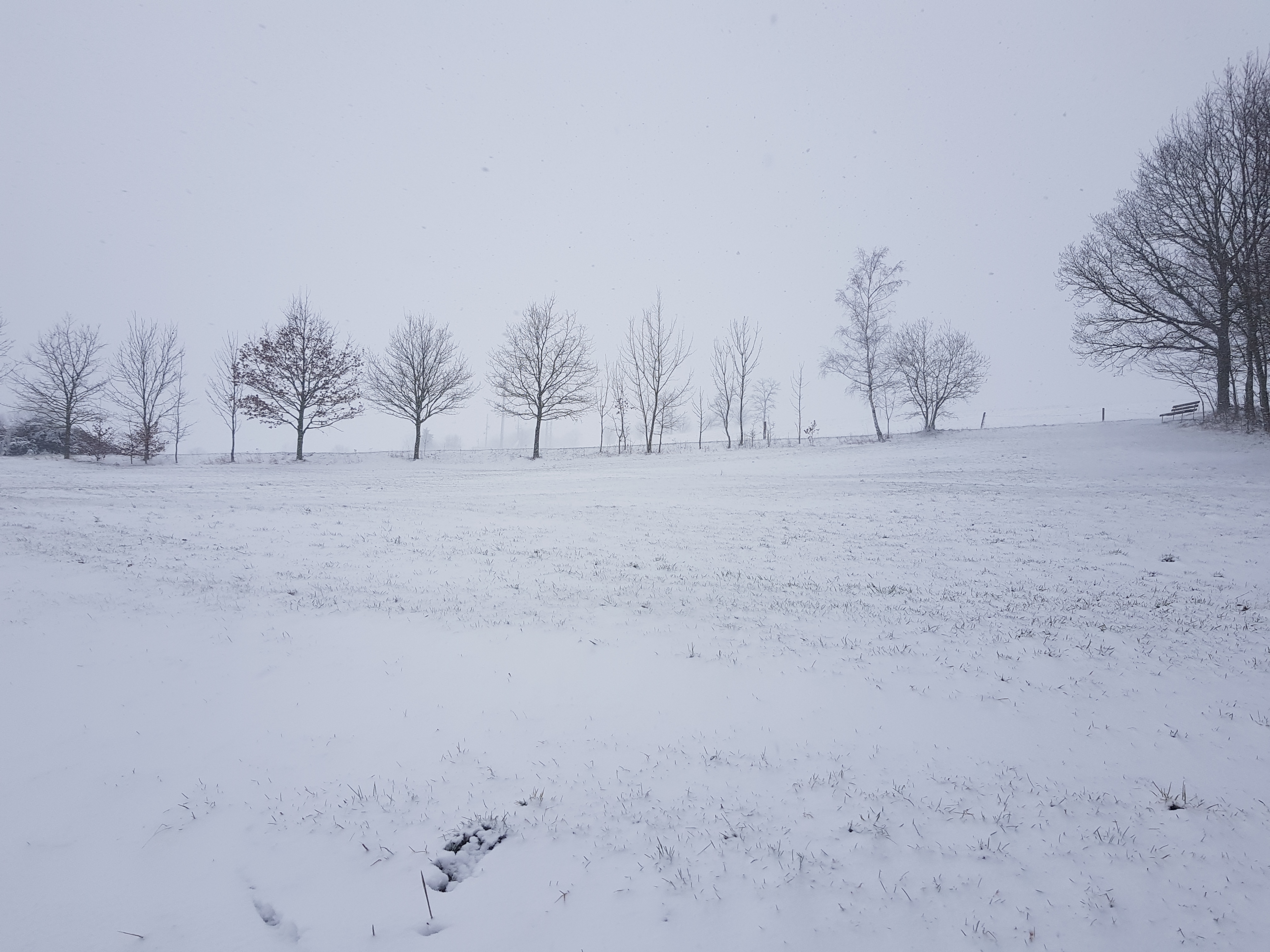 2020-02-26 09.01.20.jpg