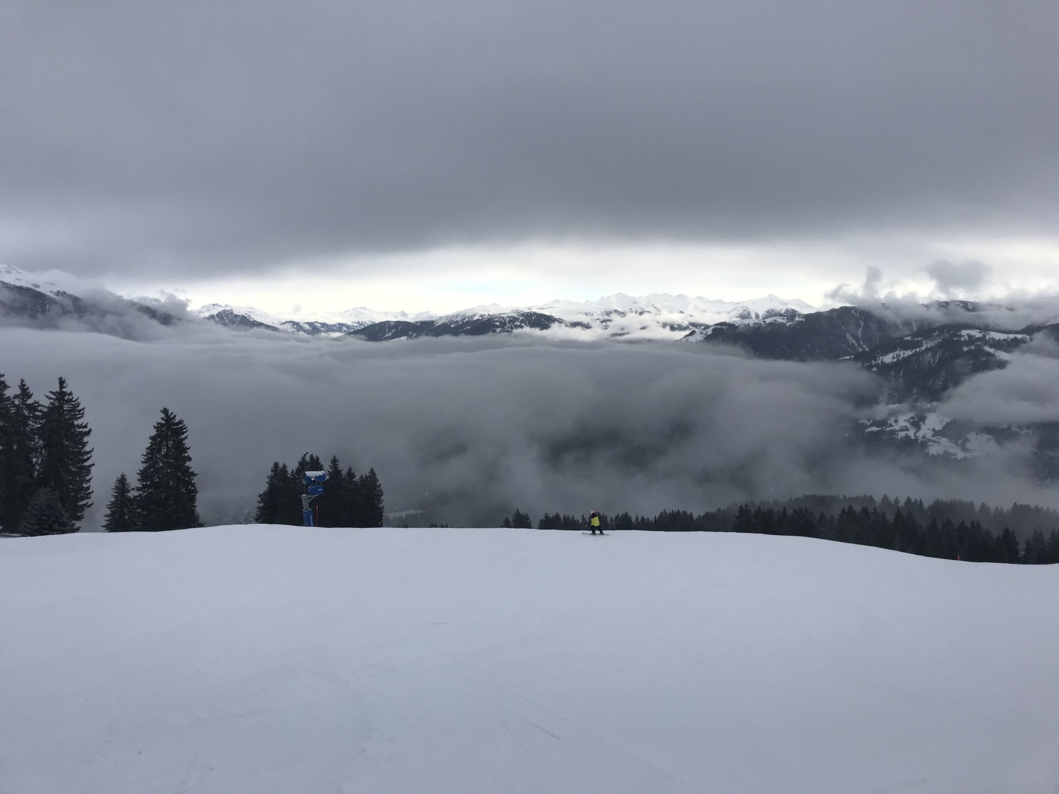 Das einzige Bild heute stammt von der Spinas