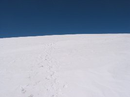 Seltsame Situation: es geht nicht mehr viel bergan, viel Himmel zu sehen, aber kein Gipfel