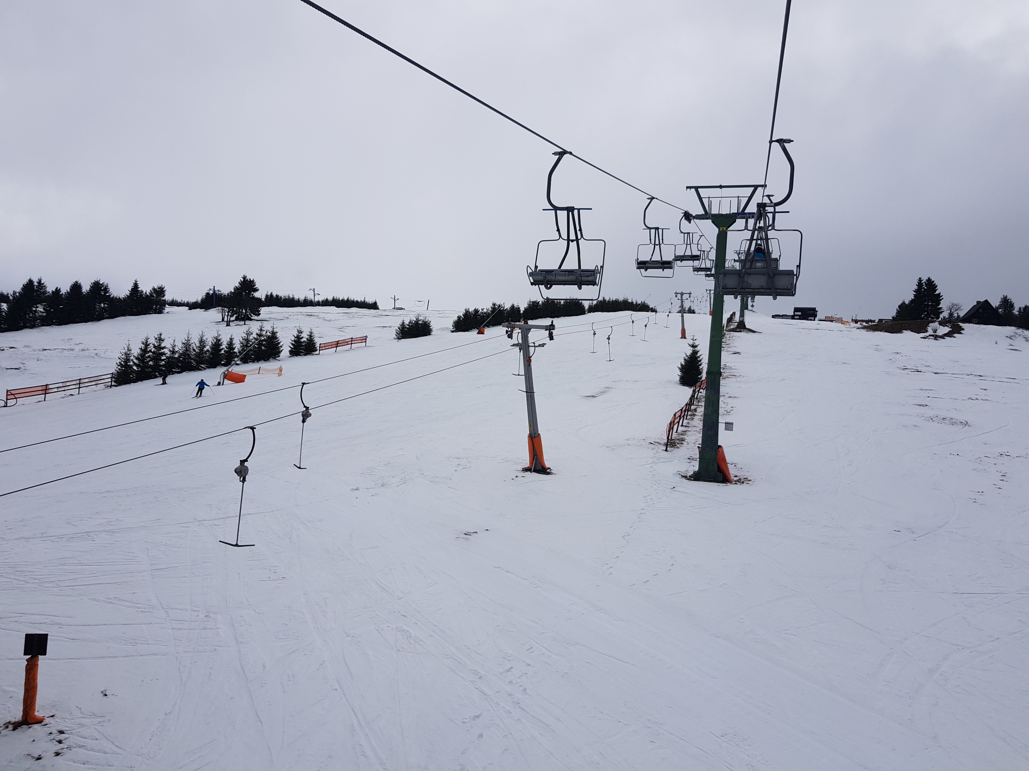 Moser im Neklid-Gebiet