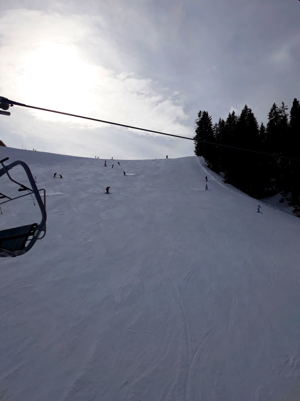 Kälversalve: 2. März: griffig