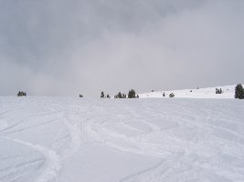 In den abgelegeneren Mongolia Bowls war noch weniger zerfahren