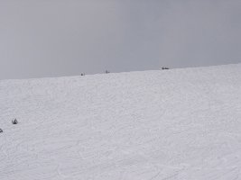 Aber mit Augenmaß findet sich noch genügend Platz für einen eigenen Beitrag zu diesen Girlanden...