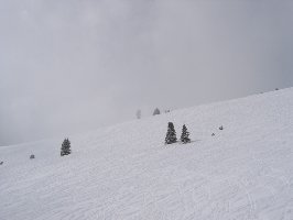 Viele Freaks unterwegs, nachmittags nach dem Schneefall fast jeder m² verspurt, was aber die Lawinengefahr herabsetzt