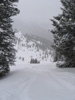 Immer schön an den Bäumen fahren damit der Kontrast gut ist