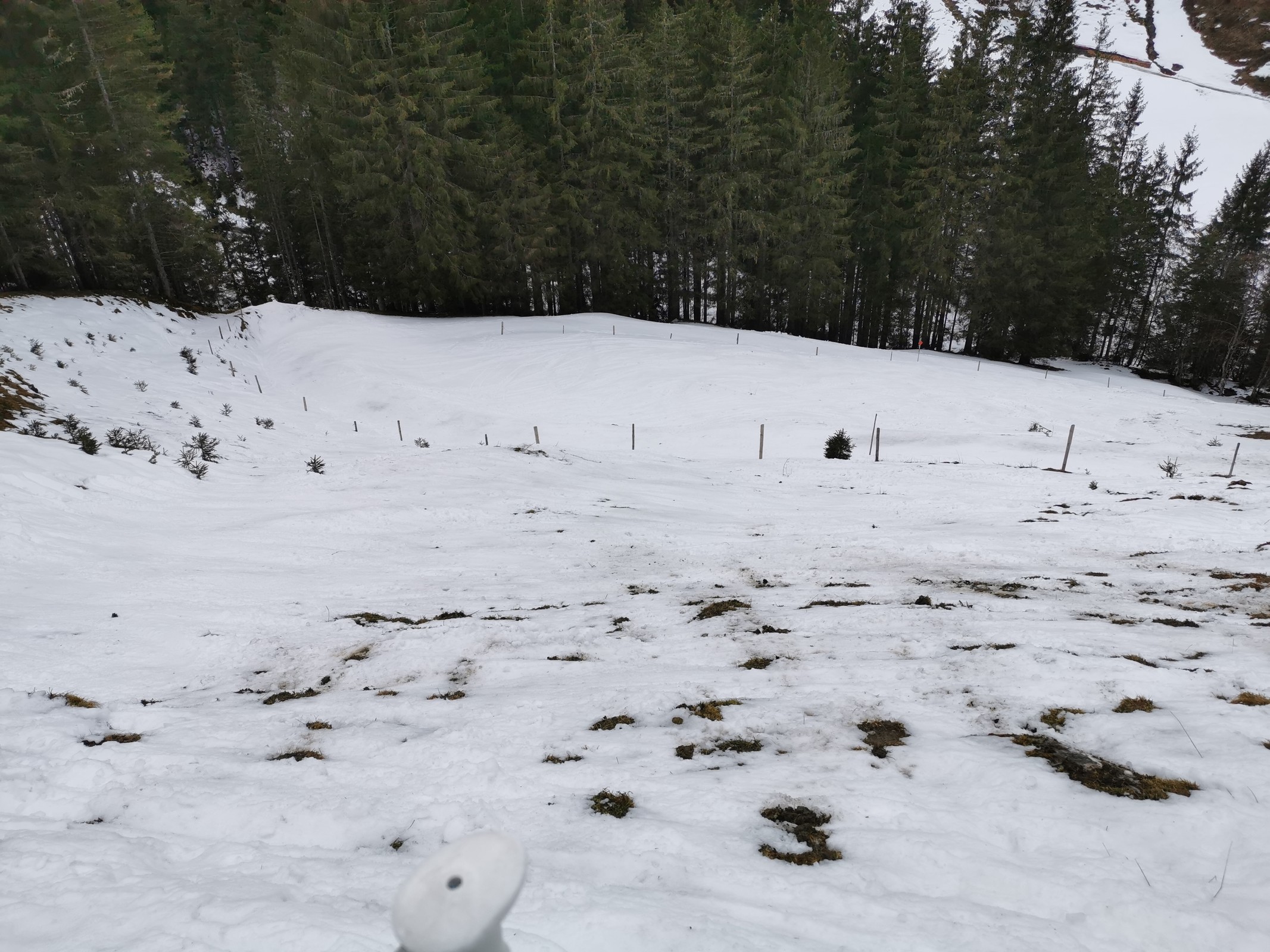 40. ...wird es zunehmend kritischer. Zum Teil muss man immer wieder die Ski abschnallen. Im Tal unten ist die Straße dann komplett schneefrei. Und neben der Straße pickt der Nassschnee wie Superkleber..jpg