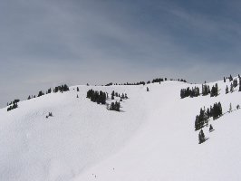 Links riesiger Buckelhang, in der Mitte muss am Vortrag gewalzt worden sein