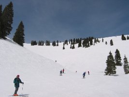 149-In der Sun up Bowl_klein.jpg