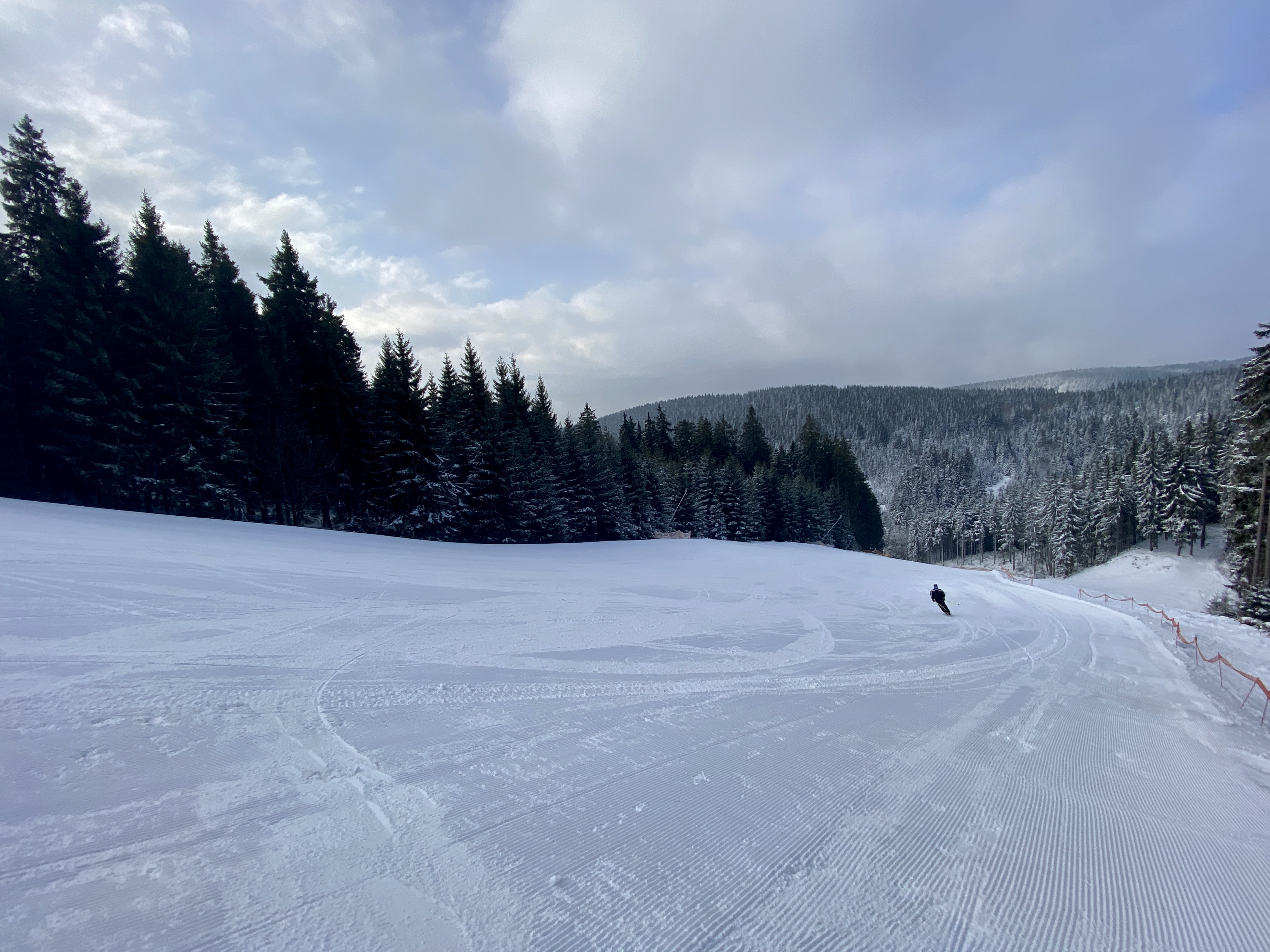Moser im unteren Teil