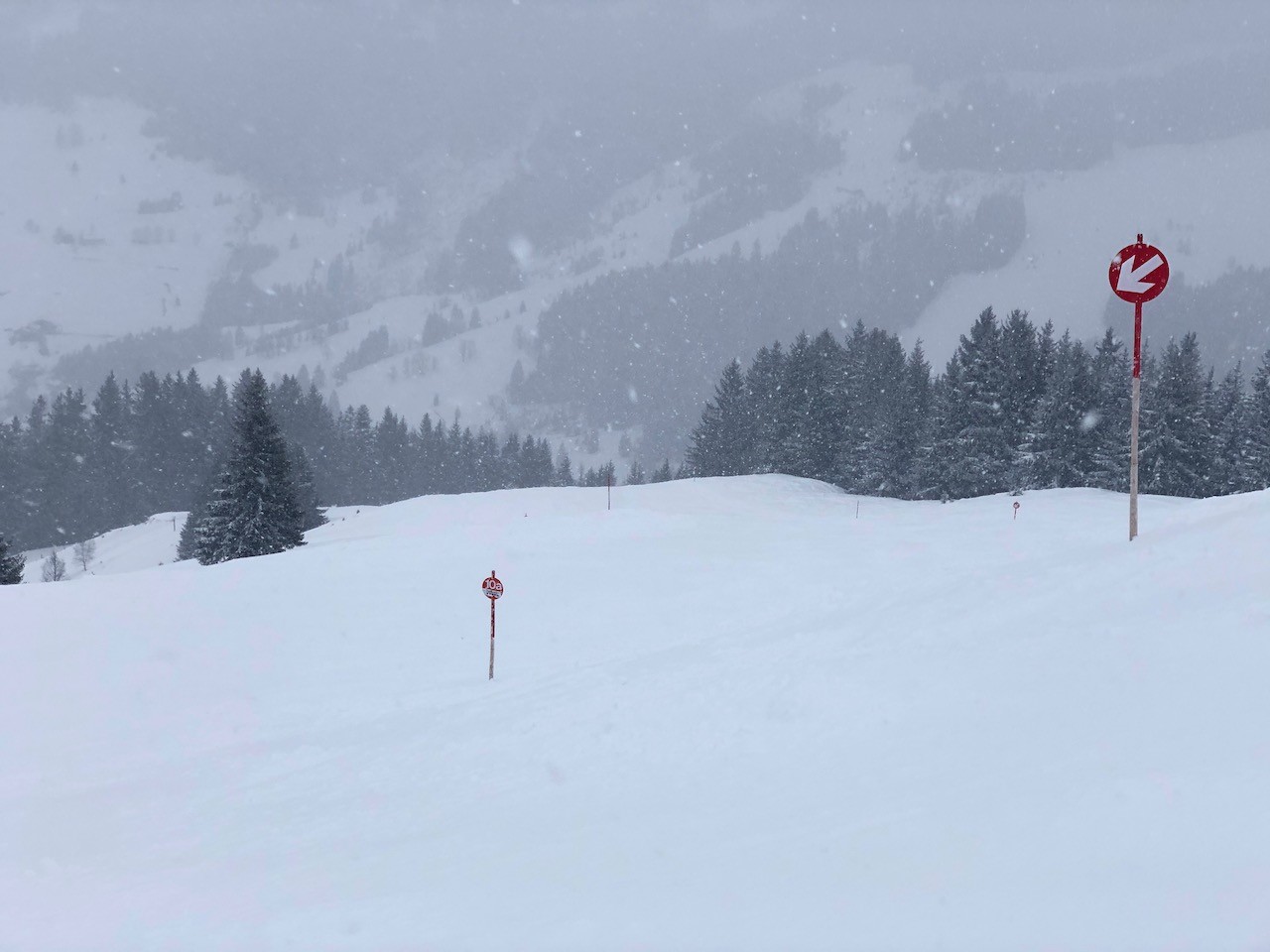 Verstehe wer will, warum die Leute bei Schneefall nicht fahren. Private Skiing in toller Atmosphäre. Es gab praktisch auch keinen Wind und wenn man sich in den Mittelteilen aufhielt, konnte man einen stimmigen Skitag erleben.