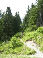 die Schneise des ESL