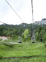 die &amp;quot;linea&amp;quot;