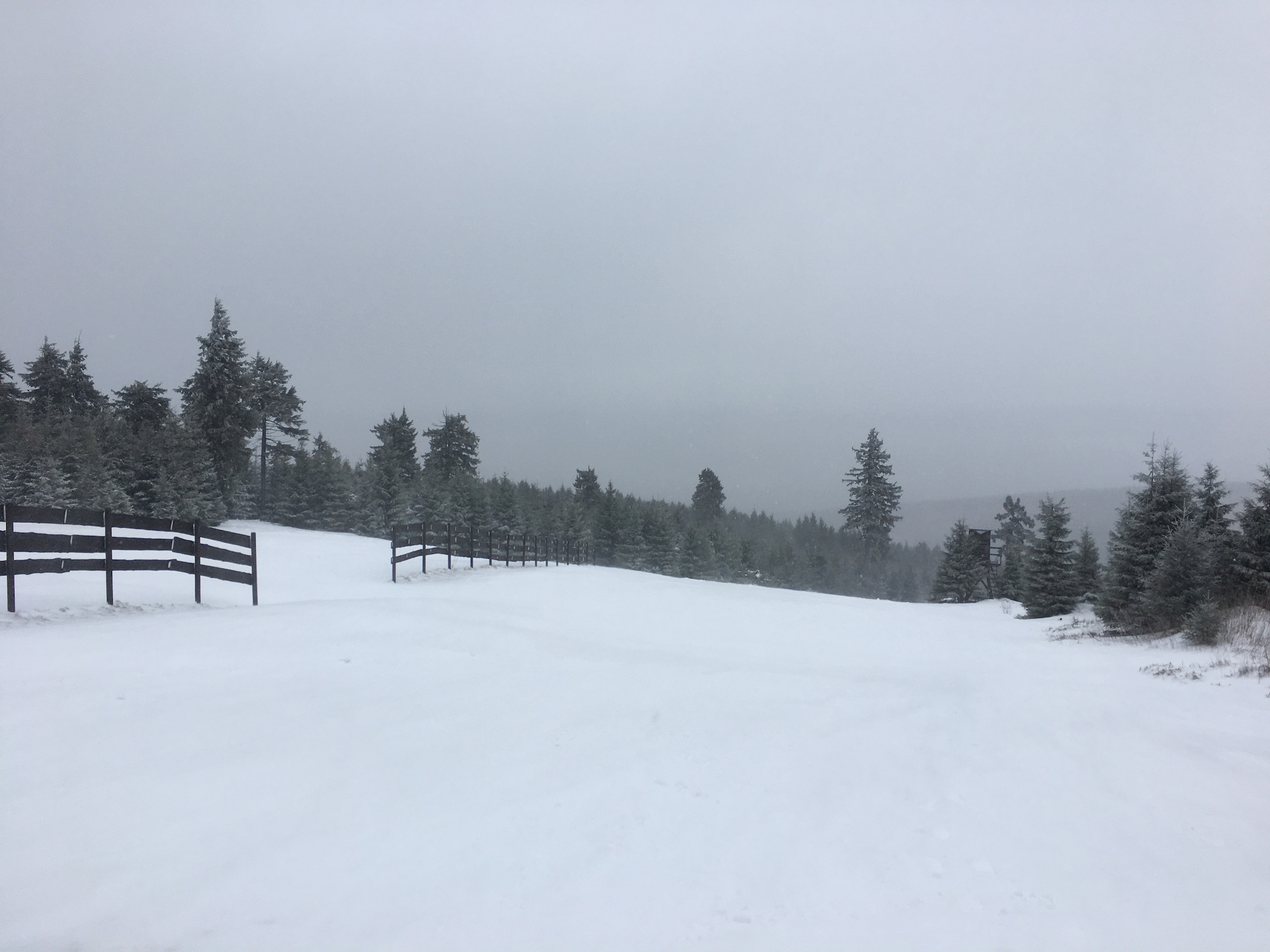 Himmelsleiter 2 an ihrer breitesten Stelle nach 1/3 der Piste. Hier ist man am weitesten vom Schlepplift weg.