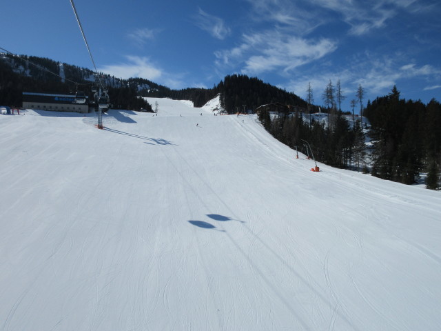 8-MGD Silver Jet, darunter die Haseckpiste mit den 1-SL Haseck