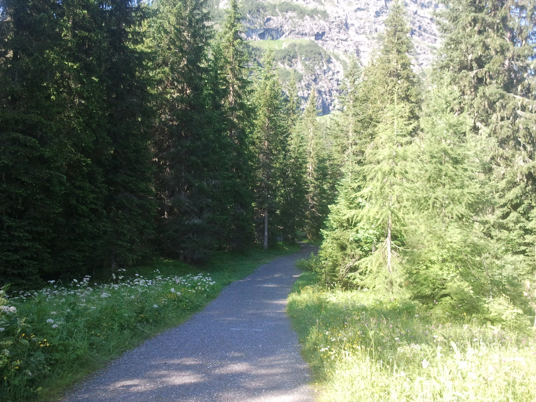 2013-07-09 09.23.19.jpg