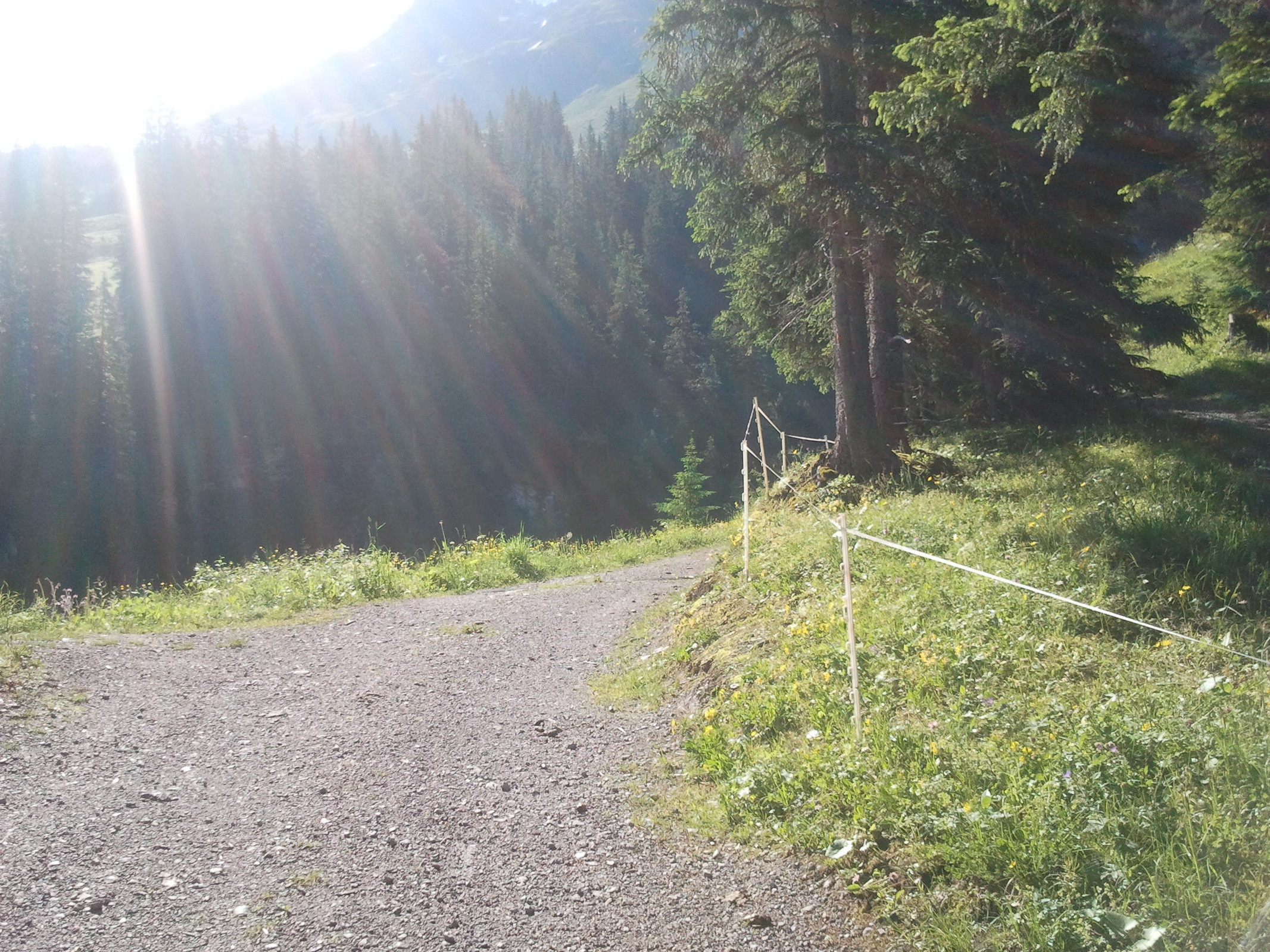 2013-07-09 09.30.22.jpg