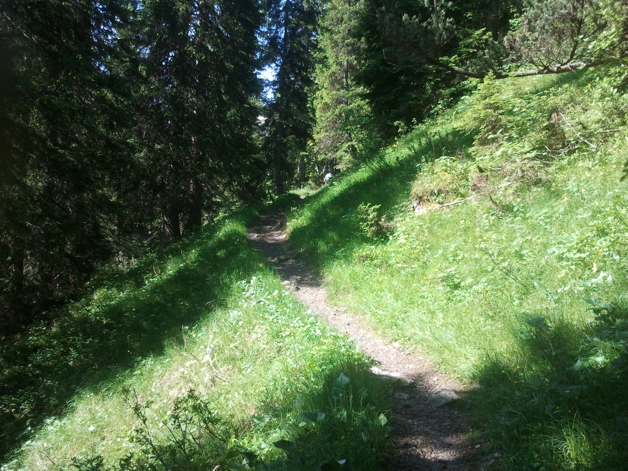 2013-07-09 09.48.07.jpg