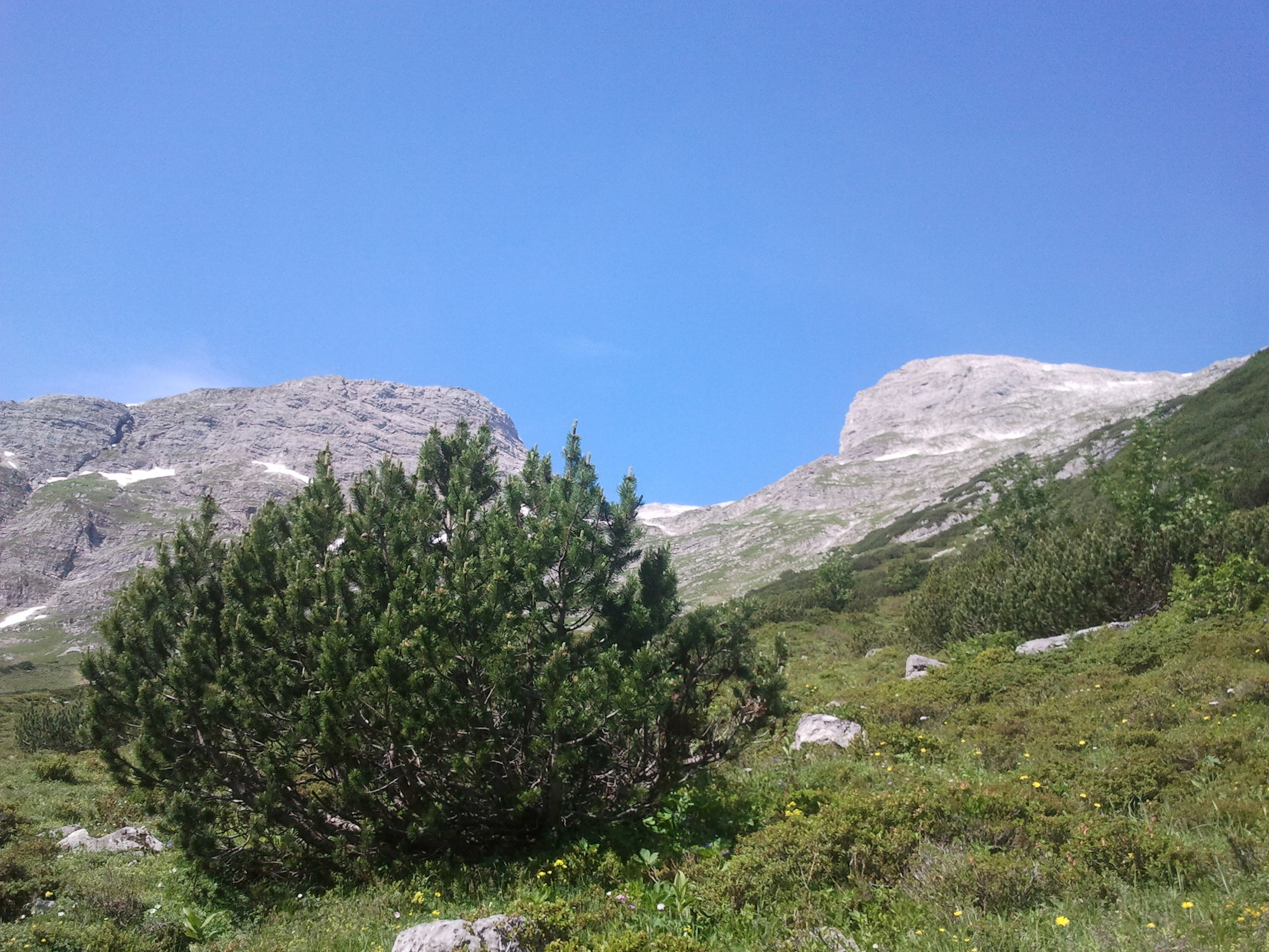 2013-07-09 10.11.40.jpg