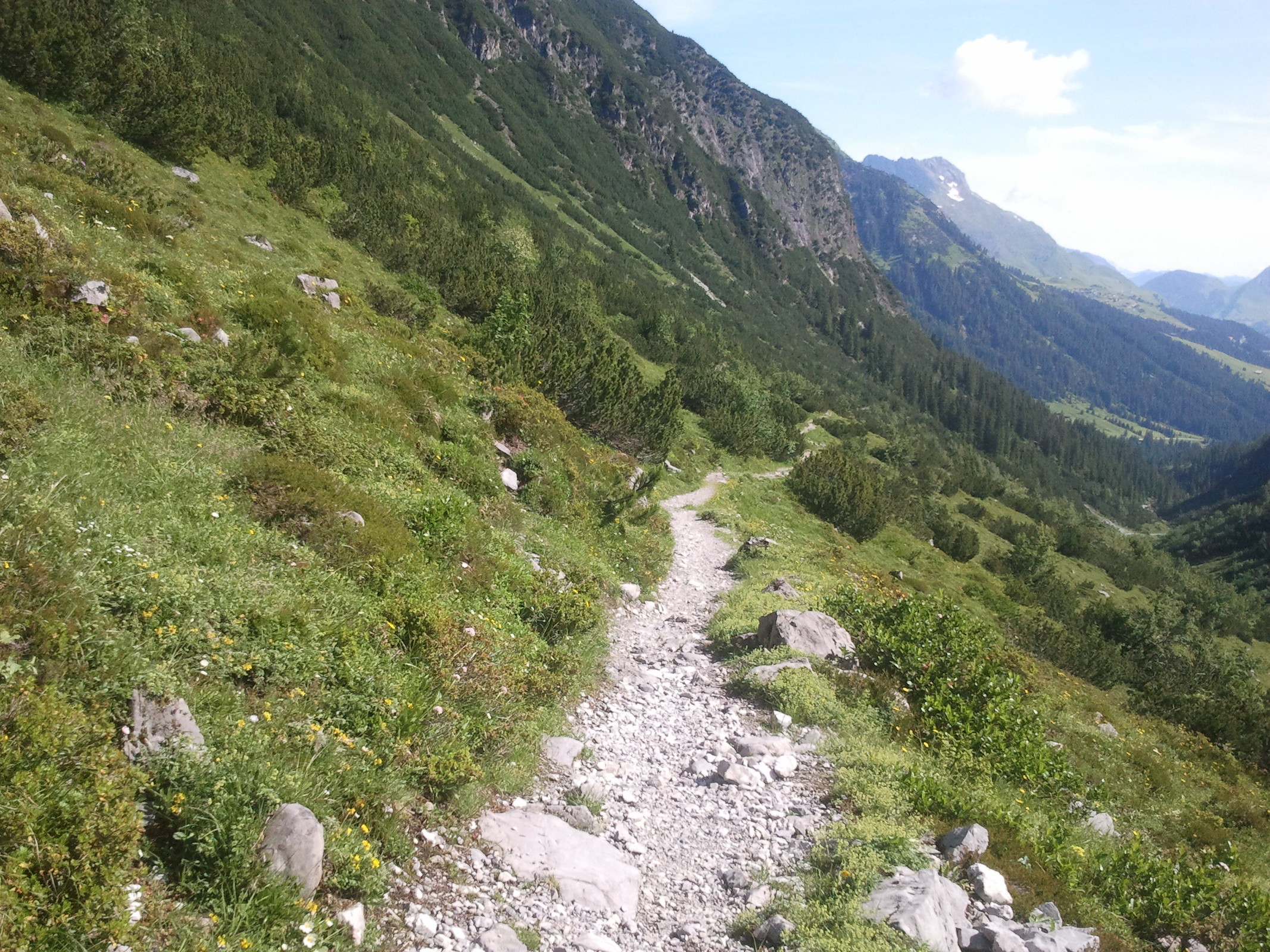 2013-07-09 10.12.06.jpg