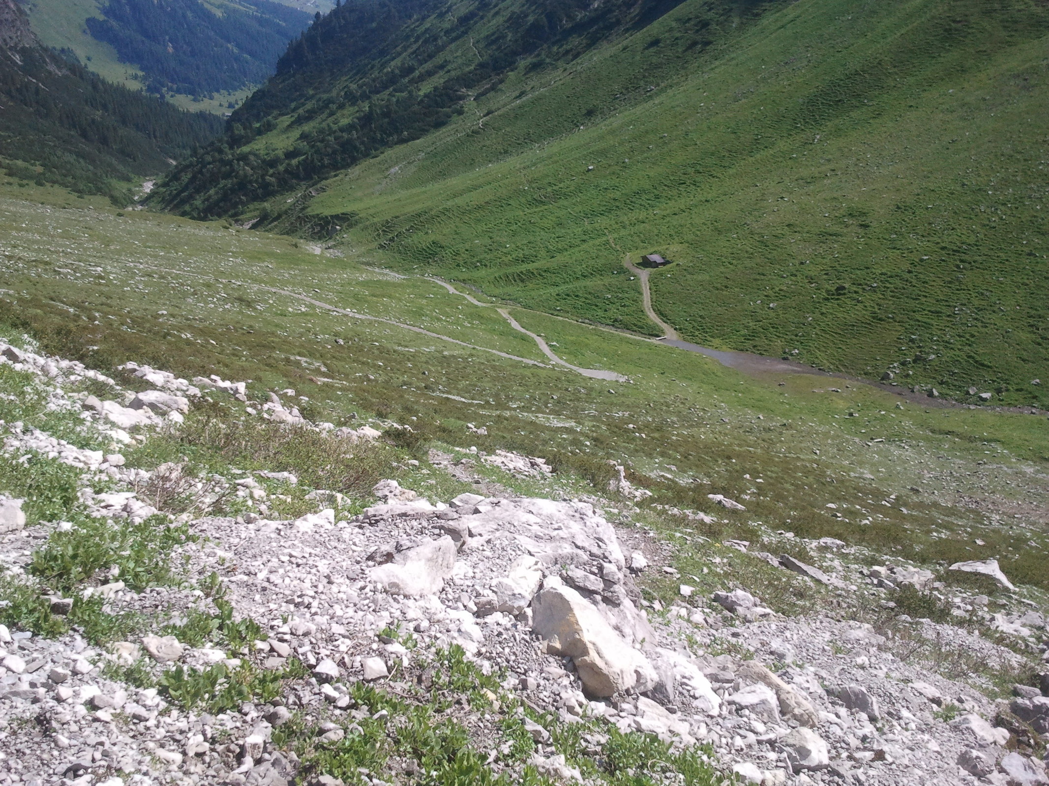 2013-07-09 10.26.45.jpg