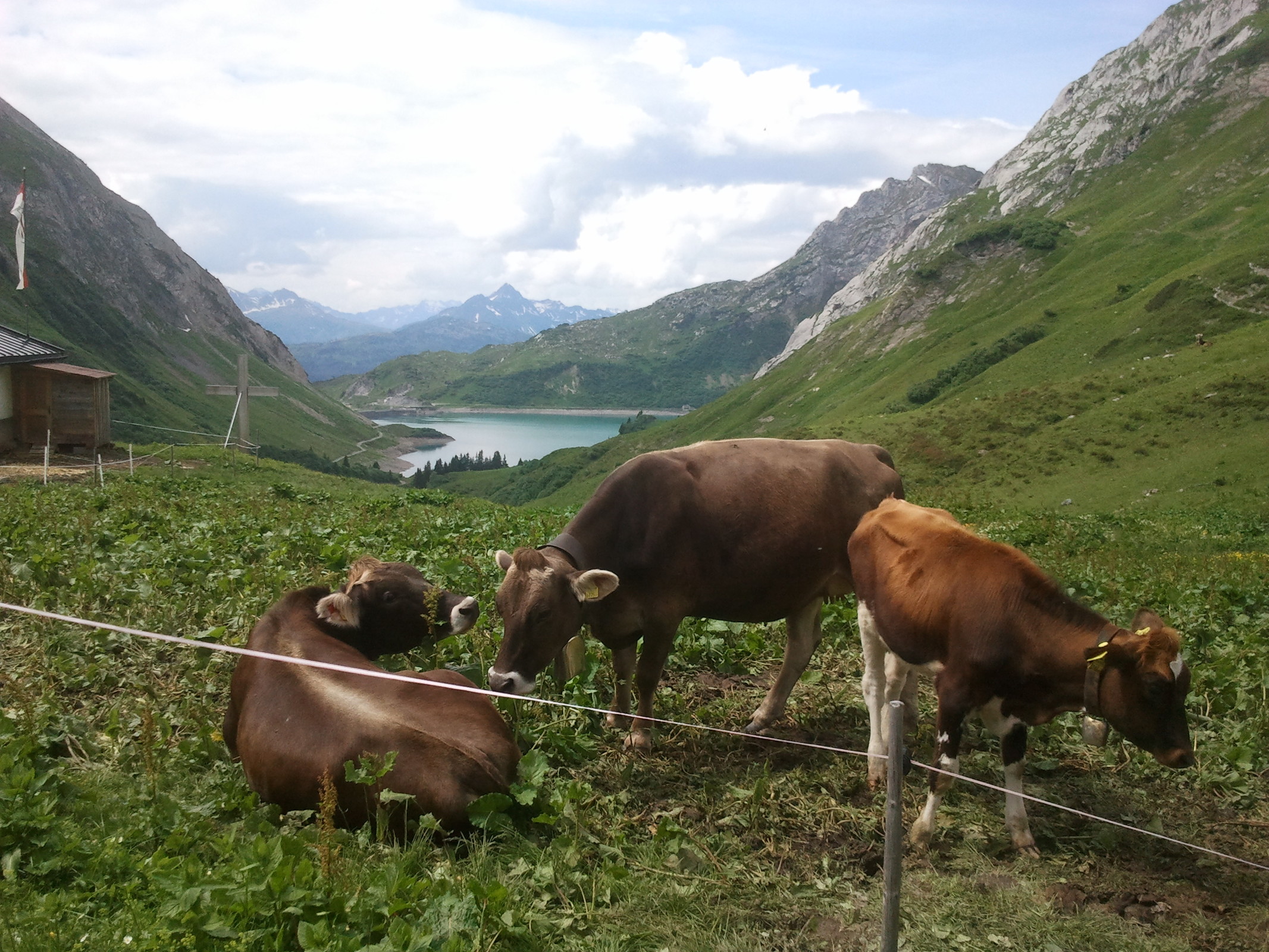 2013-07-09 11.28.46.jpg