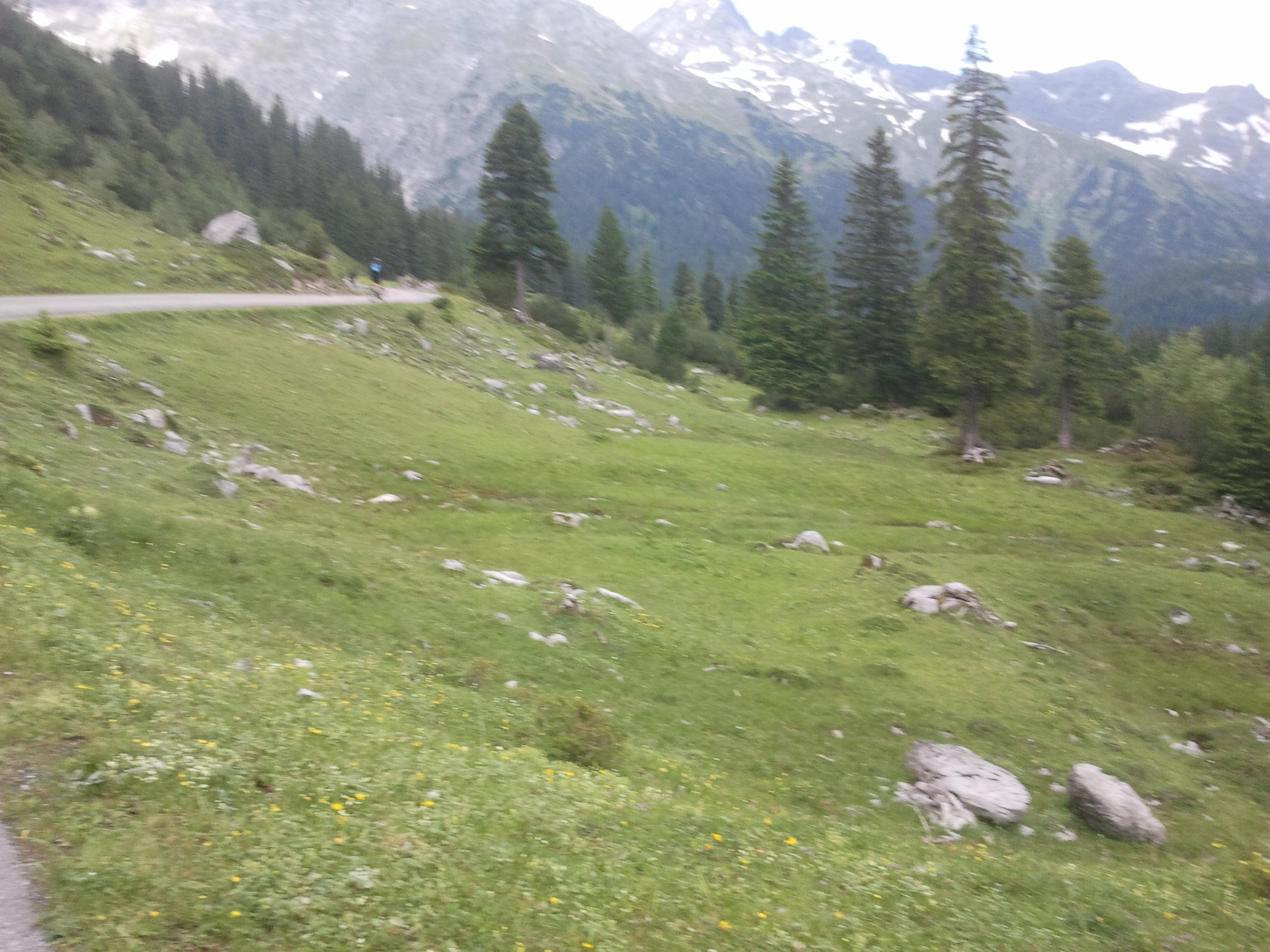 2013-07-09 11.52.08.jpg