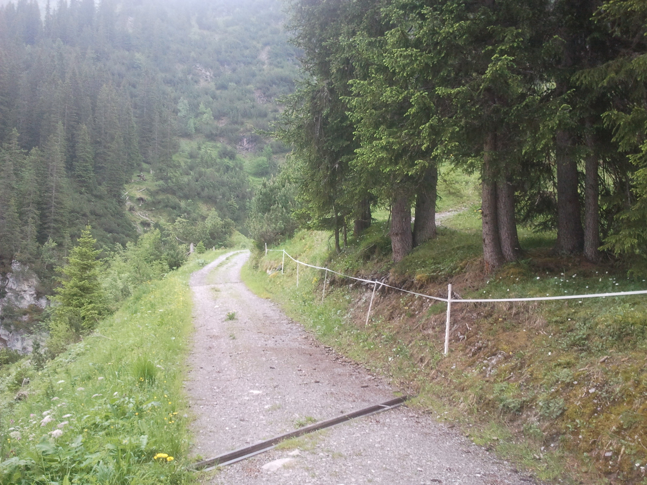 2014-06-14 10.07.23.jpg