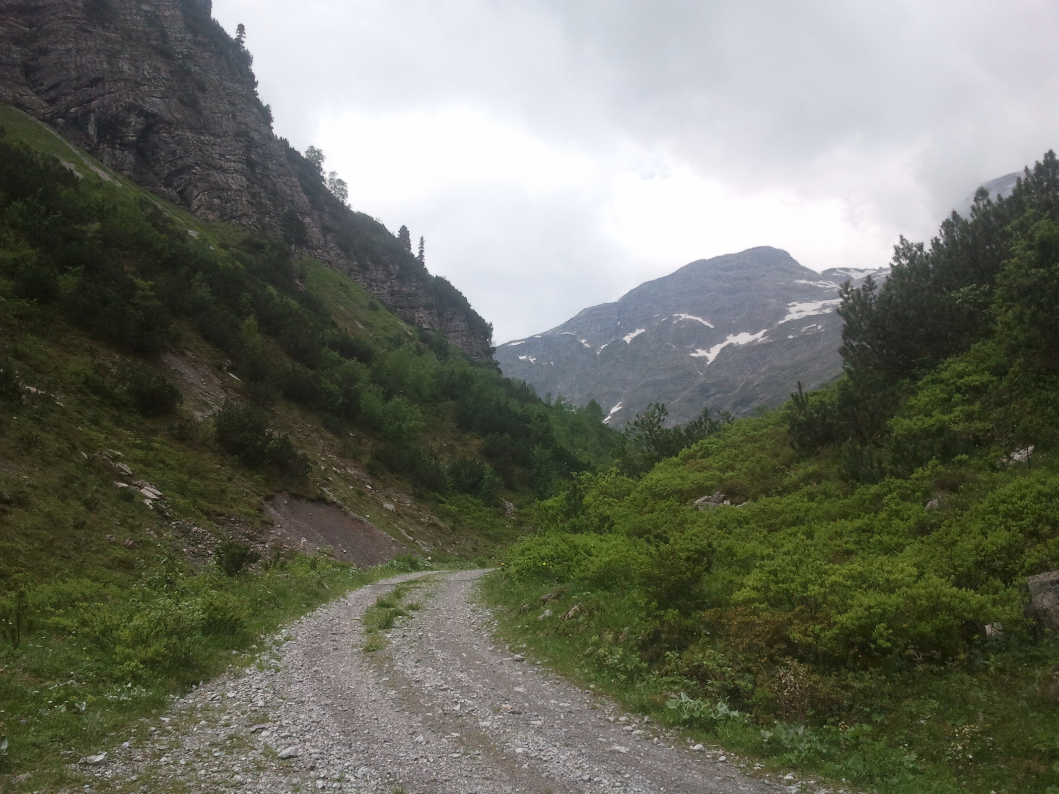 2014-06-14 10.16.44.jpg